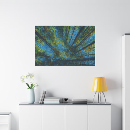 Forest Canopy Matte Canvas Wall Art — Upward View of Trees, Blue & Green Nature Print