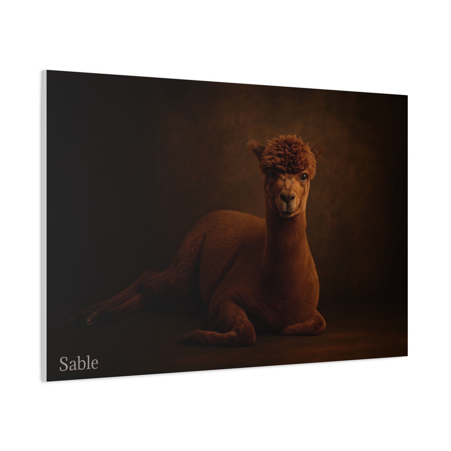 Alpaca portrait on matte canvas print by Printify, featuring a detailed alpaca illustration on a high-quality canvas.