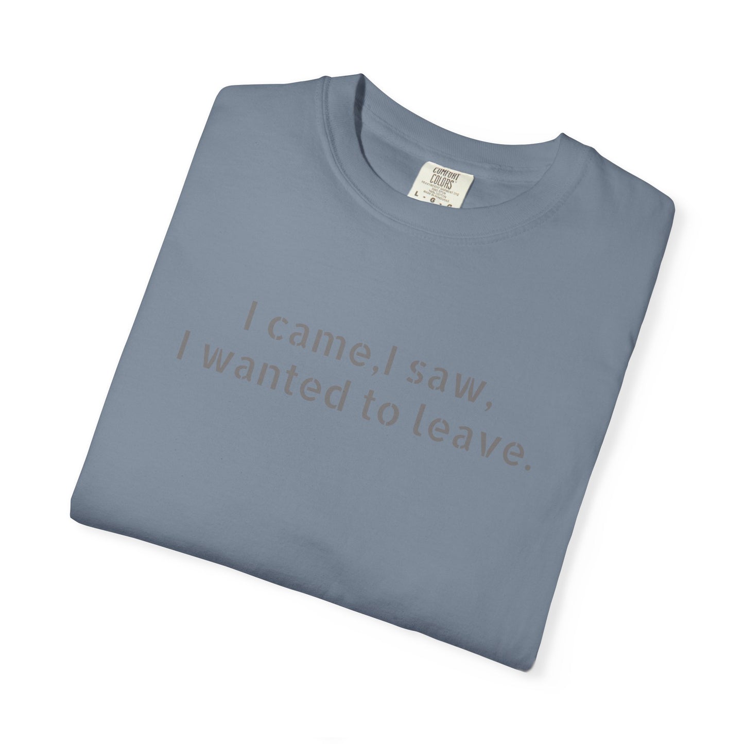 I came, I saw, I wanted to leave T-shirt | Minimal Text Tee