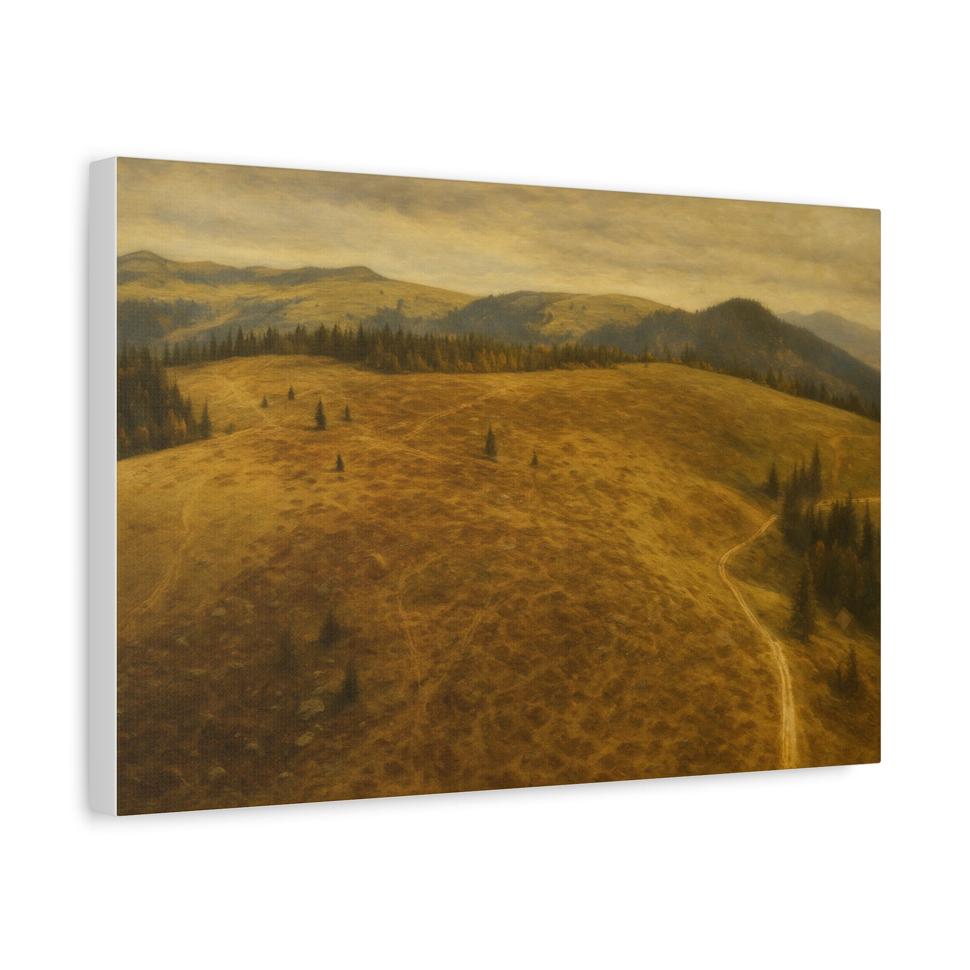Stretched Canvas Art Print, Landscape Wall Decor, Nature Photography, Rustic Home Decor, Gifting, Earthy Art - TRV
