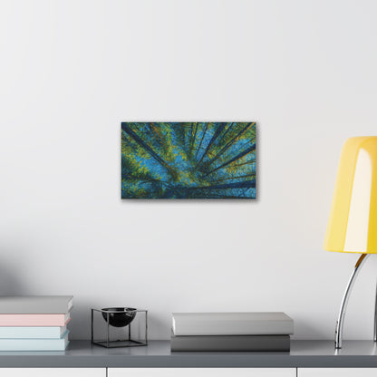 Canvas Wall Art, Forest Perspective Print, Nature Decor, Home & Office Art, Rustic Wall Hanging, Tree Art for Nature Lovers - TRV