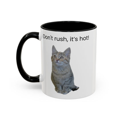 Cat Coffee Mug - "Don't rush, it's hot!" Accent Ceramic Mug (11/15 oz)