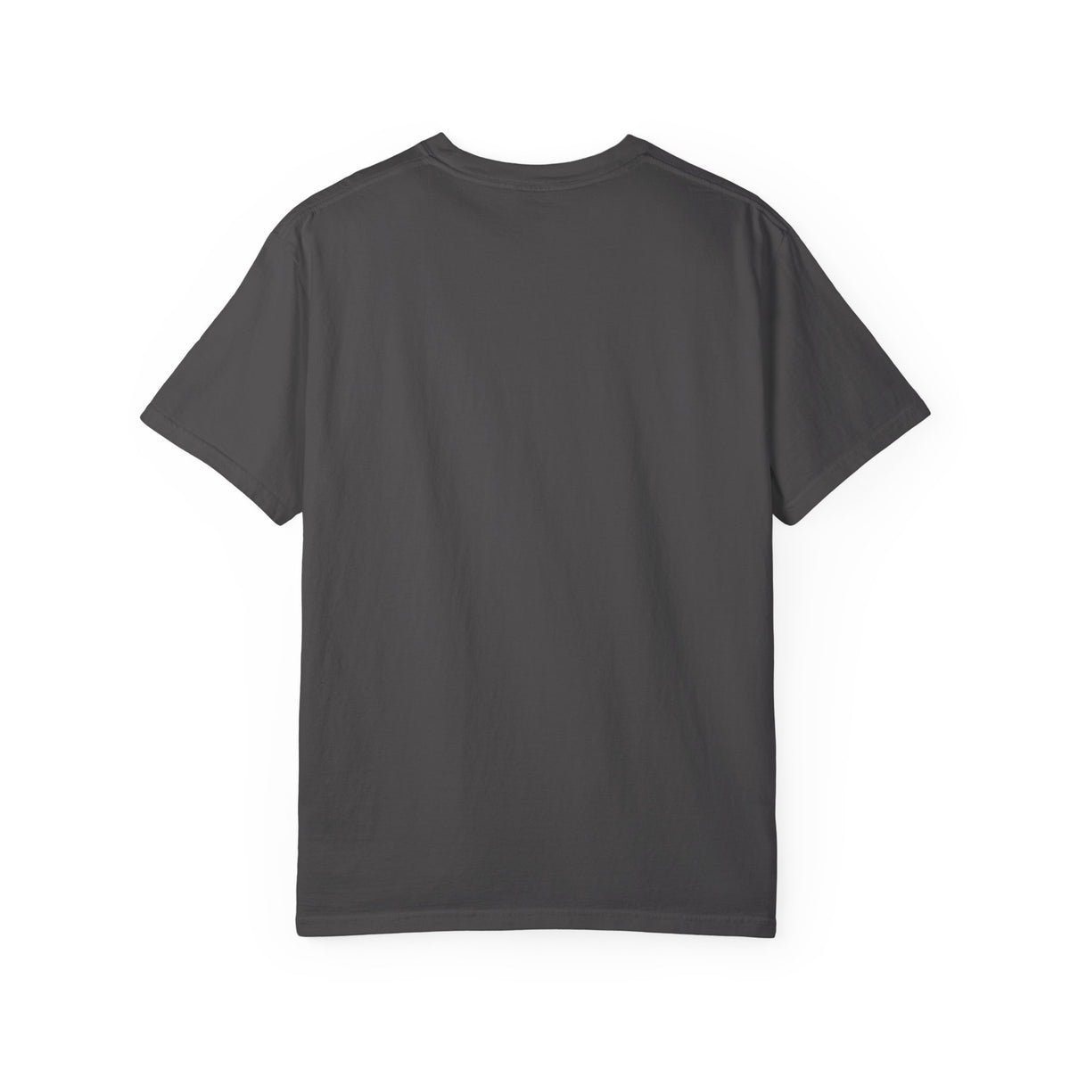 Unisex garment-dyed T-shirt with TRV08 Logo print, made by Printify, showing the front view of the casual tee.