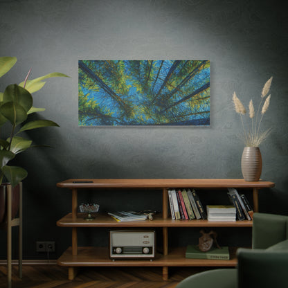 Forest Canopy Matte Canvas Wall Art — Upward View of Trees, Blue & Green Nature Print