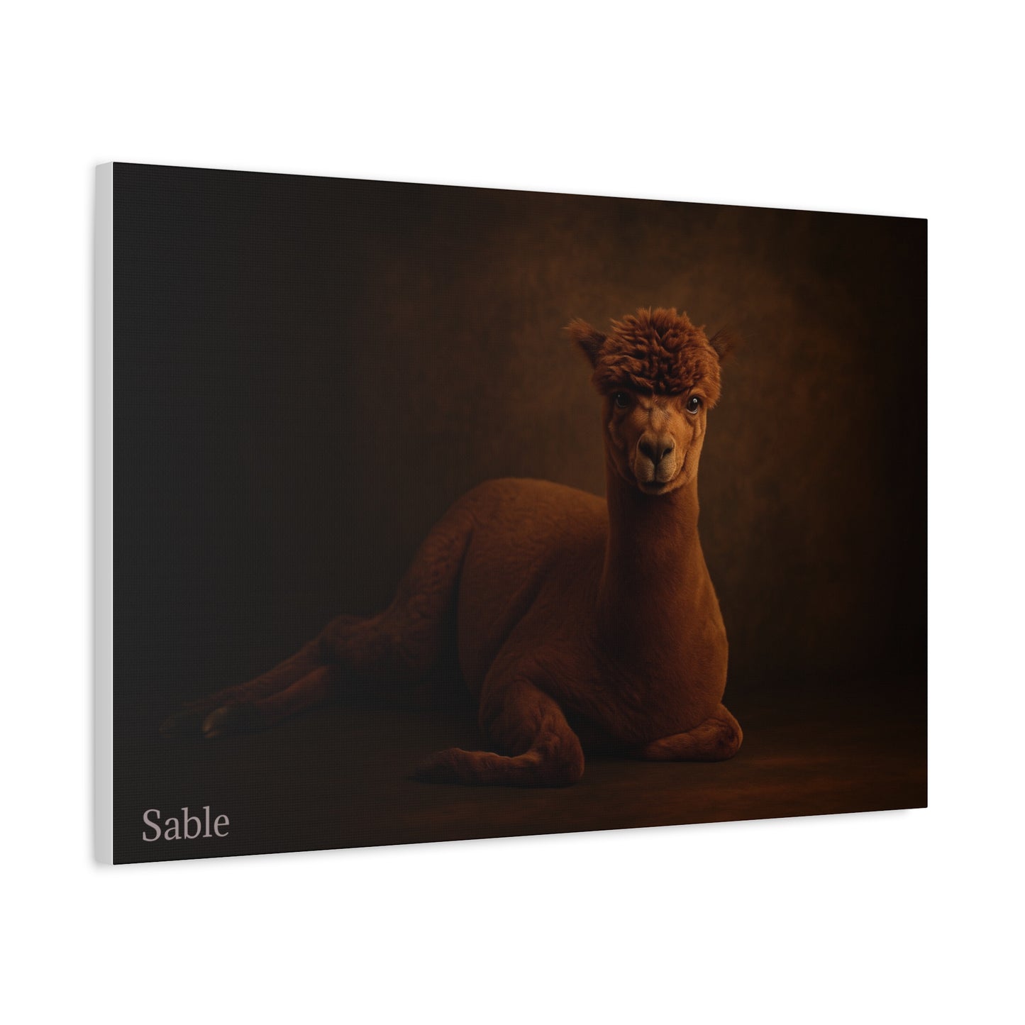 Alpaca portrait on matte canvas print by Printify, featuring detailed artwork of a cute alpaca face on a textured canvas surface.