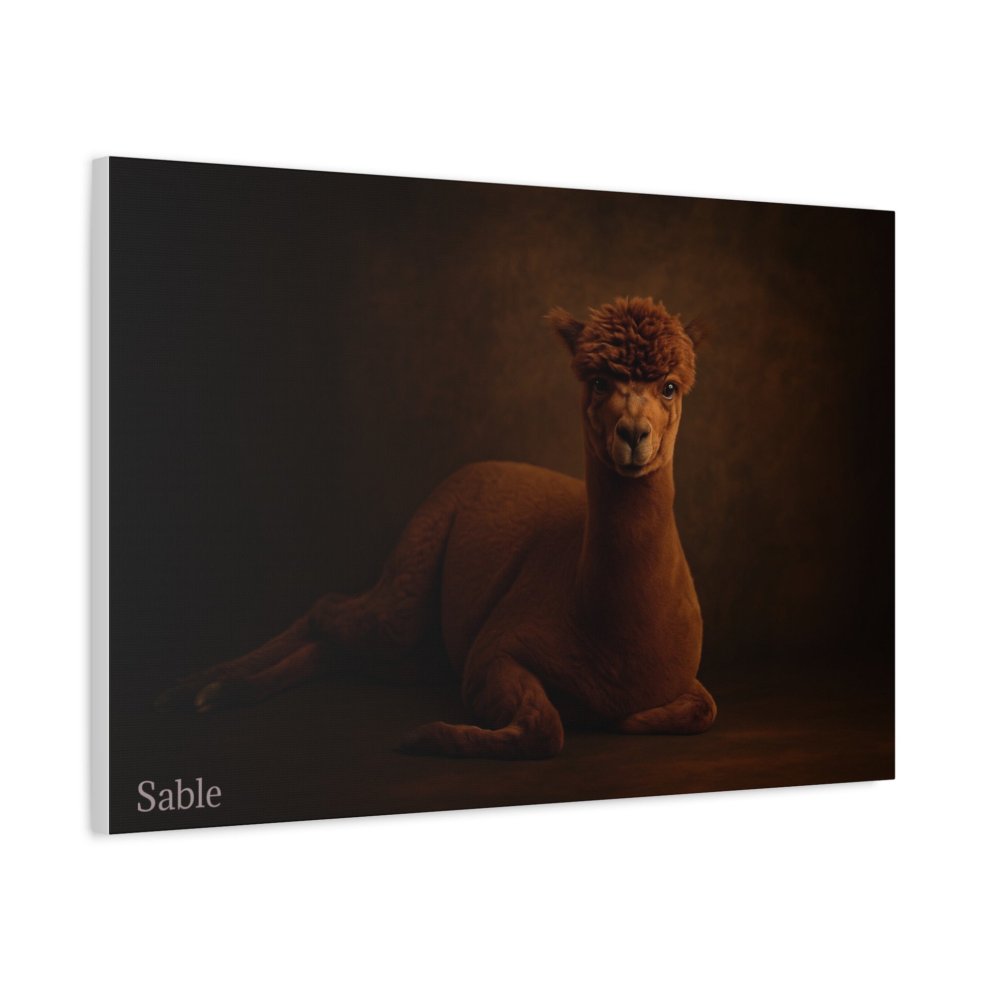 Alpaca portrait on matte canvas print by Printify, featuring detailed artwork of a cute alpaca face on a textured canvas surface.