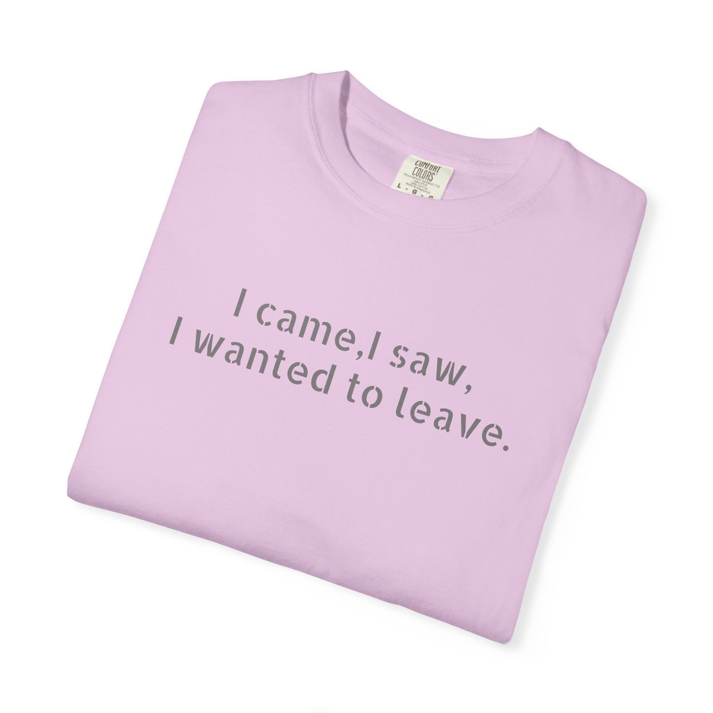 I came, I saw, I wanted to leave T-shirt | Minimal Text Tee