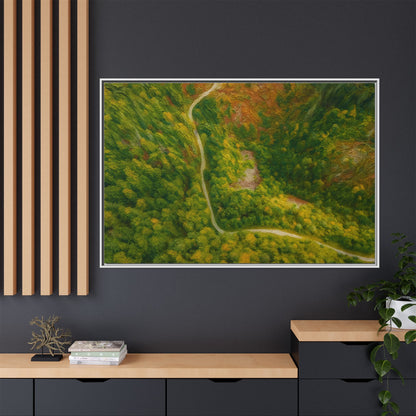 Colorful framed canvas wall art featuring an aerial view of a forest path in a lush landscape by Printify.