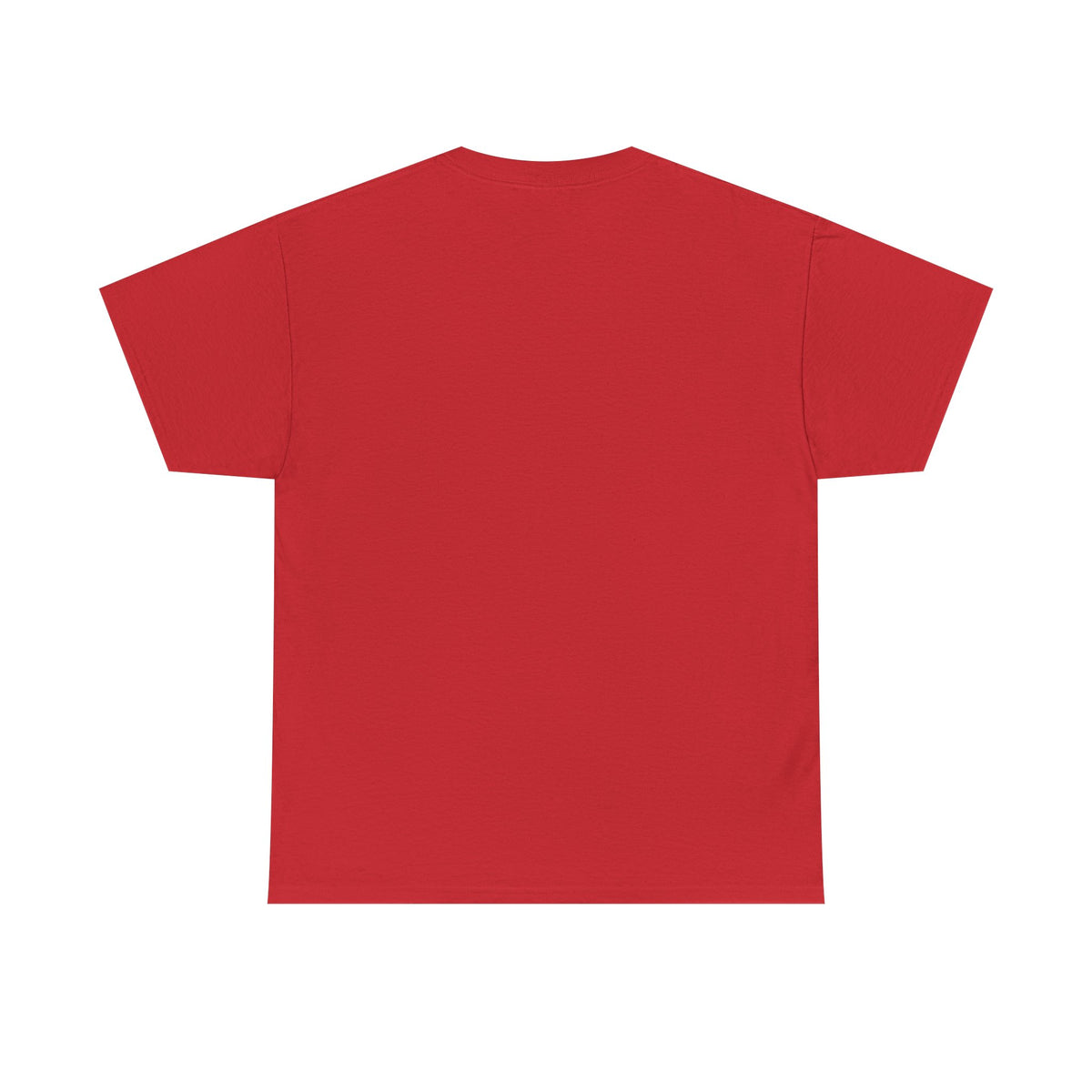 Vintage minimalist Est. 1995 T-shirt by Printify featuring a simple birthday design on a classic cotton tee.