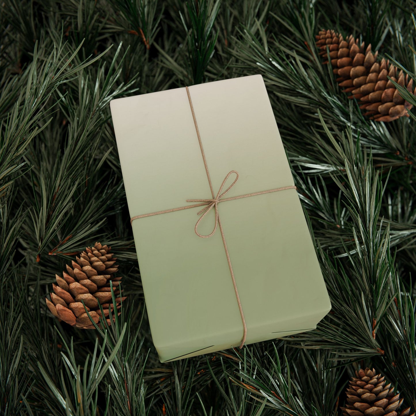 Ombre Sage Wrapping Paper Roll — Neutral Green Gradient Gift Wrap
