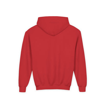 Baseball Themed Youth Hoodie, Sports Sweatshirt, Kids Gift, Youth Apparel, Baseball Fan Gear, Athletic Hoodie