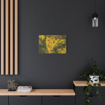 Yellow grape cluster canvas print by Printify featuring a vibrant, realistic depiction of a bunch of yellow grapes on canvas.