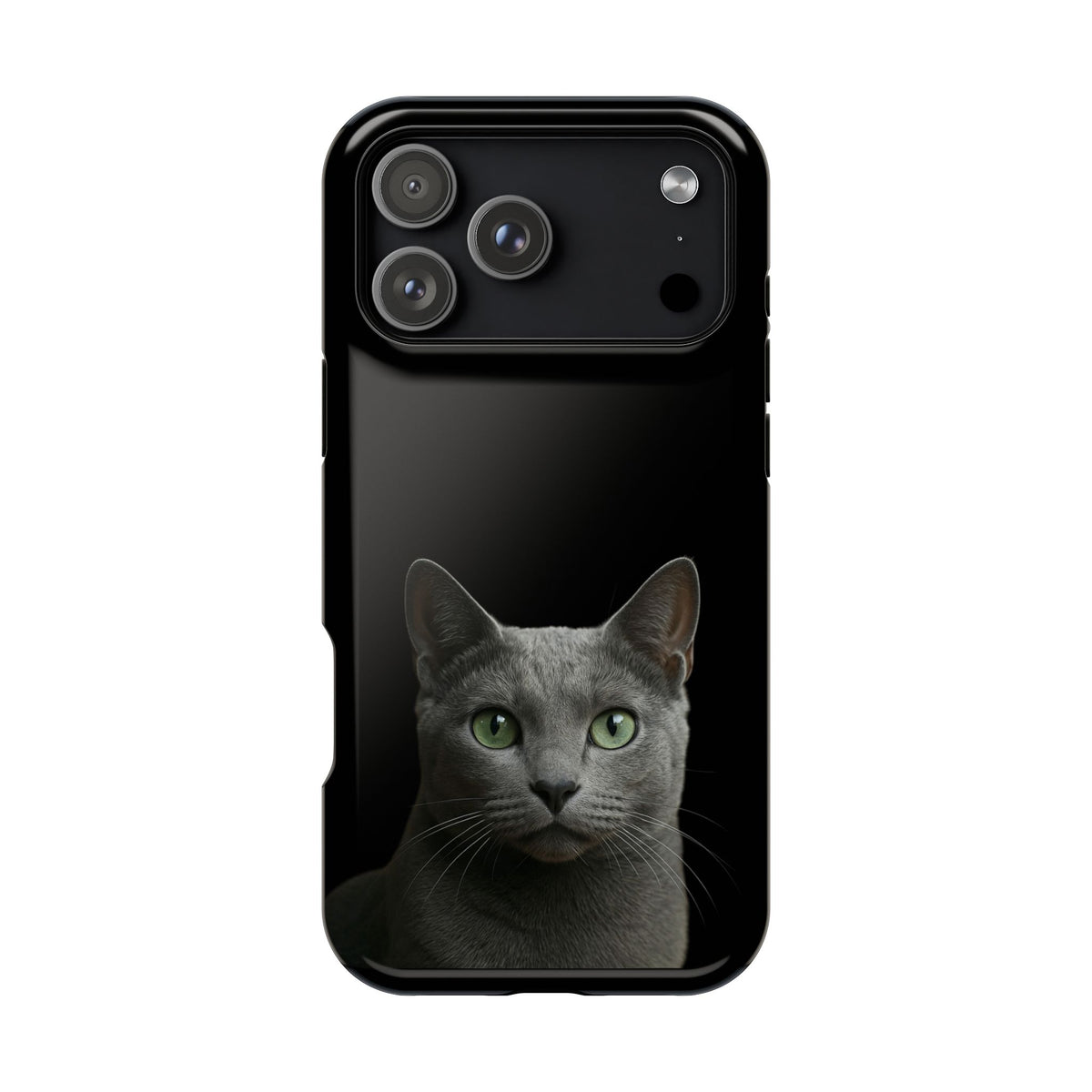 Russian Blue Cat phone case for iPhone, magnetic impact-resistant cover with printed blue cat design by Printify.
