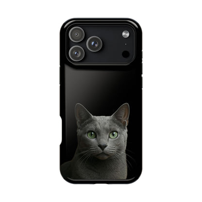 Russian Blue Cat Phone Case — Magnetic Impact-Resistant iPhone Cover
