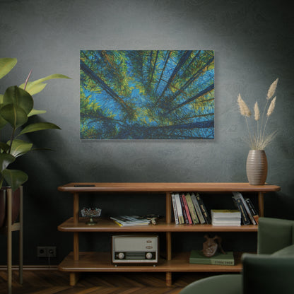 Forest Canopy Matte Canvas Wall Art — Upward View of Trees, Blue & Green Nature Print