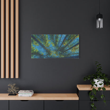 Forest Canopy Matte Canvas Wall Art — Upward View of Trees, Blue & Green Nature Print