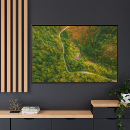 Colorful framed matte canvas wall art featuring an aerial forest path landscape by Printify.