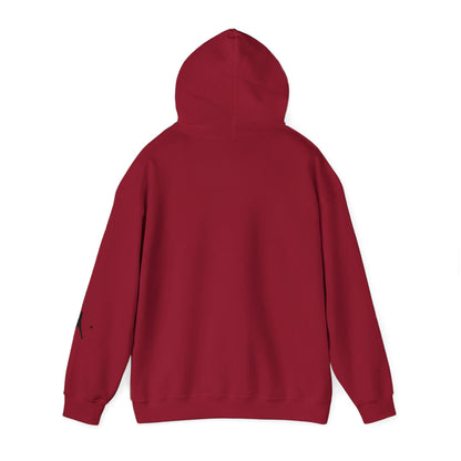Baseball Themed Unisex Hoodie, Streetwear, Sports Fan Sweatshirt, Gift for Athletes, Casual Wear, Fall Fashion - TRV