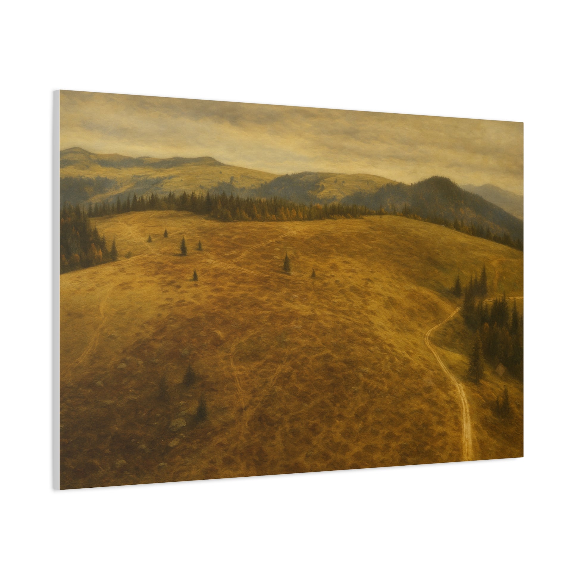Stretched Canvas Art Print, Landscape Wall Decor, Nature Photography, Rustic Home Decor, Gifting, Earthy Art - TRV