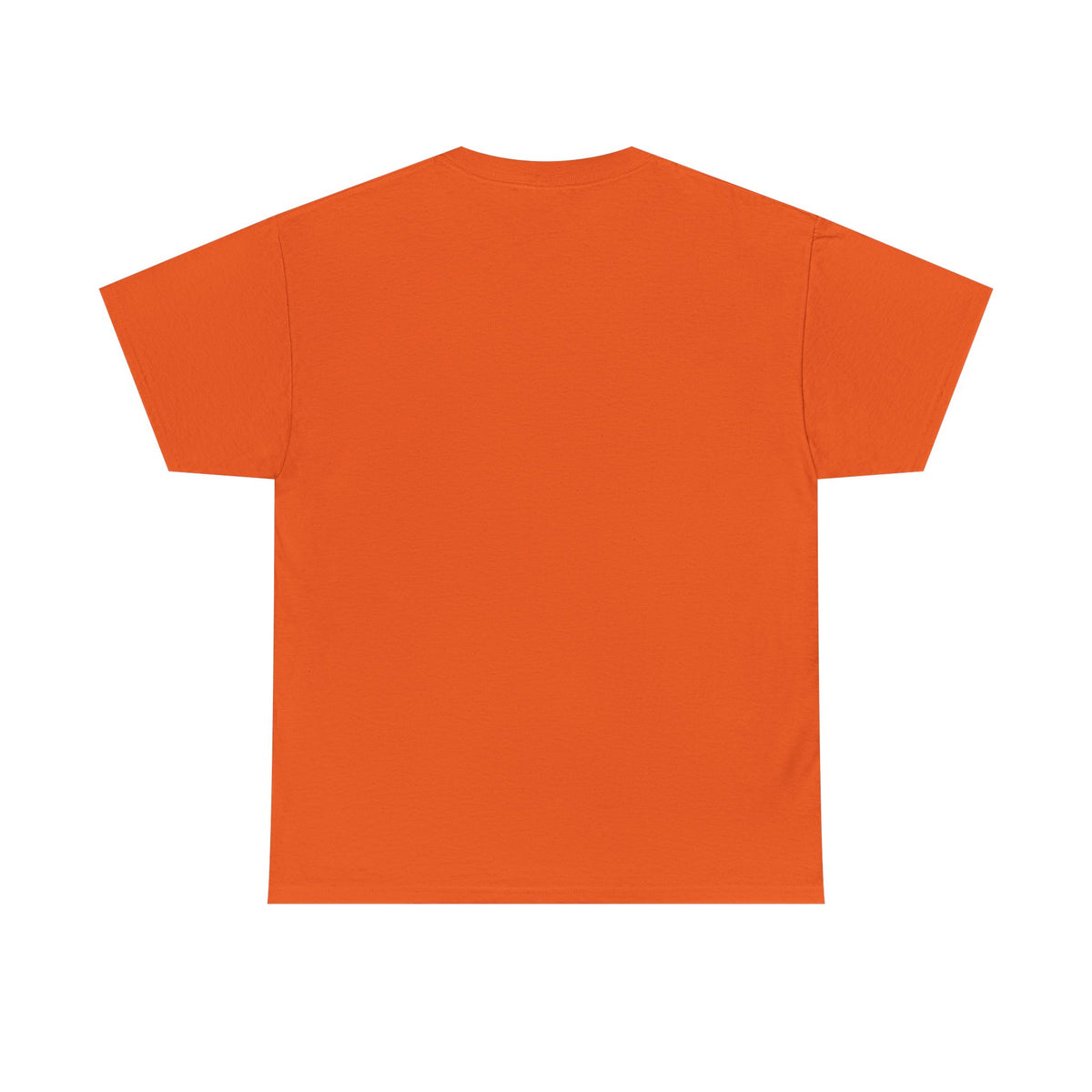 Vintage minimalist T-shirt with "Est. 1995" print, celebrating a birthday, made by Printify. Classic casual wear.