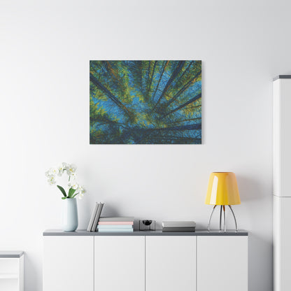 Forest Canopy Matte Canvas Wall Art — Upward View of Trees, Blue & Green Nature Print
