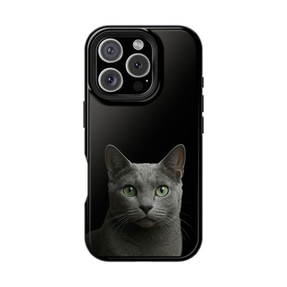 Russian Blue Cat Phone Case — Magnetic Impact-Resistant iPhone Cover