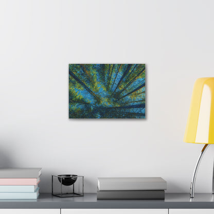 Forest Canopy Canvas Print — Upward View Trees Wall Art (Stretched Canvas 0.75")