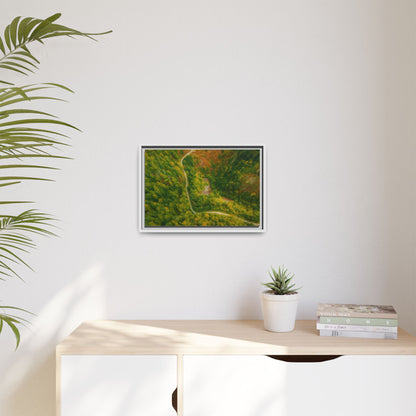 Multi-color framed matte canvas wall art featuring a scenic aerial forest path landscape by Printify
