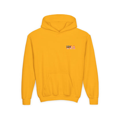 USA Flag Youth Hoodie, Youth Sweatshirt, Cool Hoodie for Kids, American Pride Apparel, Comfortable Boys and Girls Sweatshirt