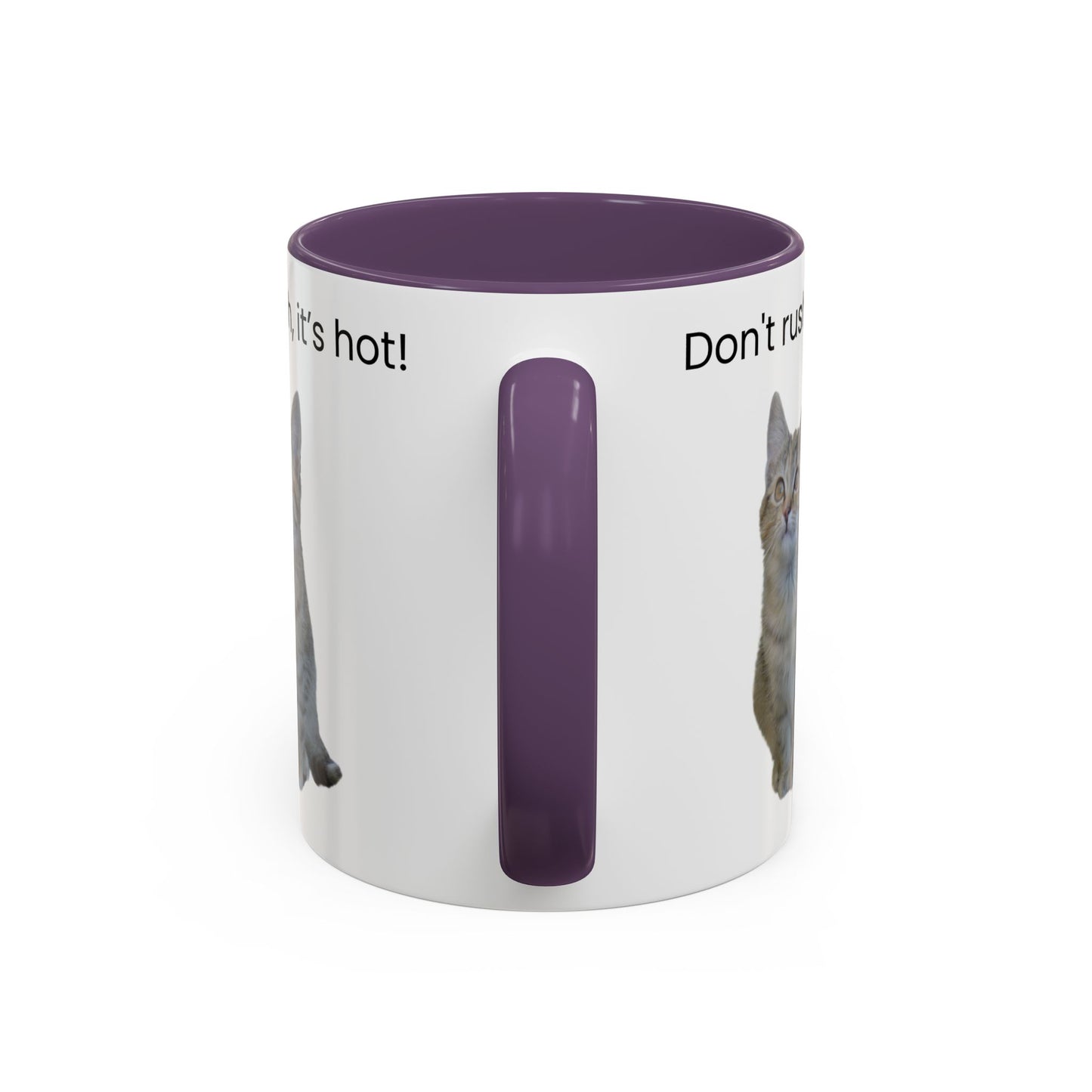 Cat Coffee Mug - "Don't rush, it's hot!" Accent Ceramic Mug (11/15 oz)