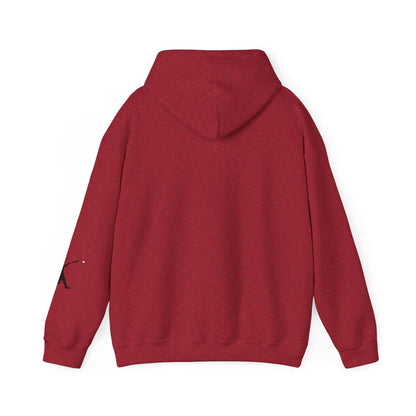 Baseball Swing Unisex Hoodie - Perfect Gift for Athletes, Sports Enthusiasts, Cozy Layer for Cool Days, Great for Team Spirit - TRV