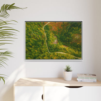 Colorful framed matte canvas wall art featuring a forest path aerial landscape by Printify