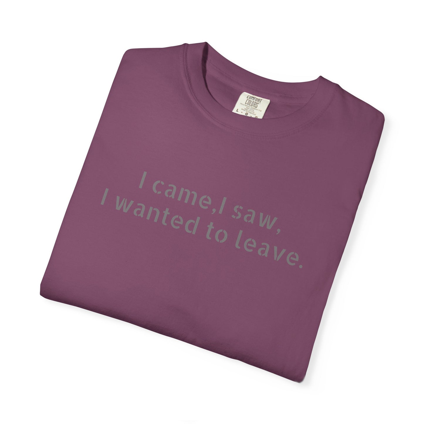 I came, I saw, I wanted to leave T-shirt | Minimal Text Tee