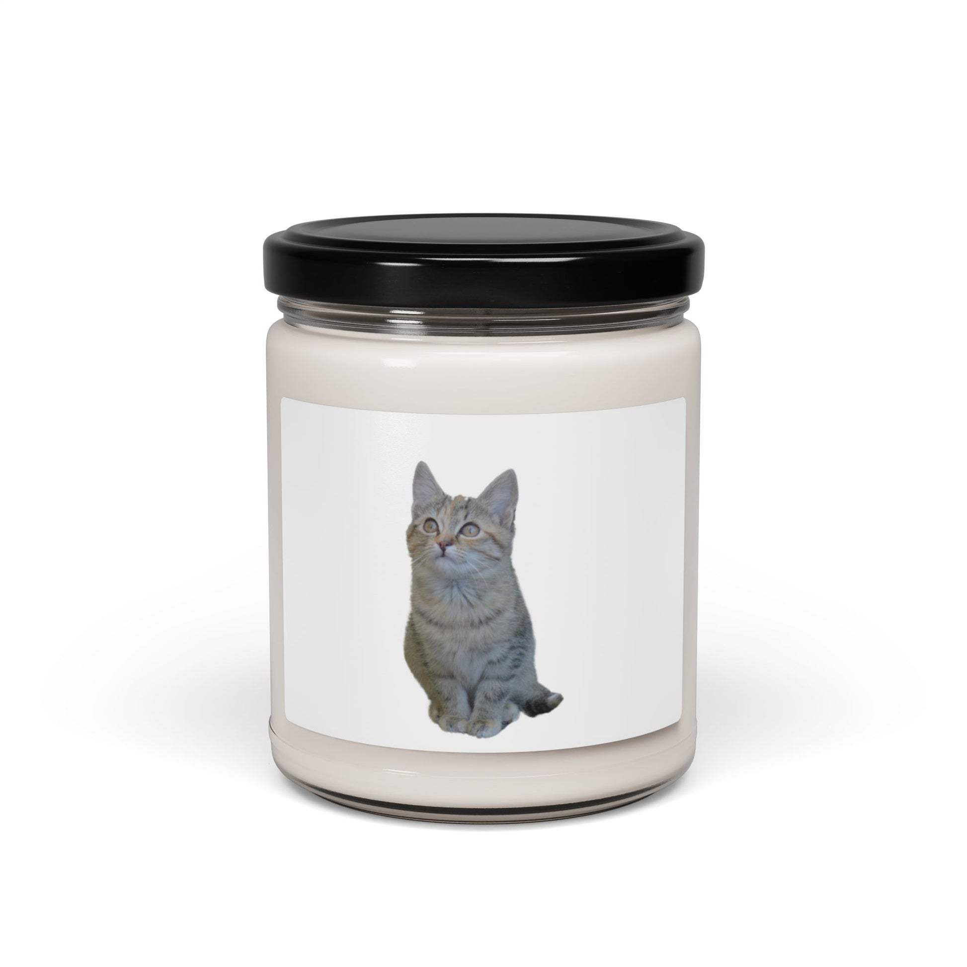 Cat-Themed Scented Soy Candle - 9oz - Perfect for Cat Lovers - product image