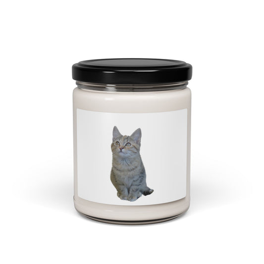 Cat-Themed Scented Soy Candle - 9oz - Perfect for Cat Lovers - product image