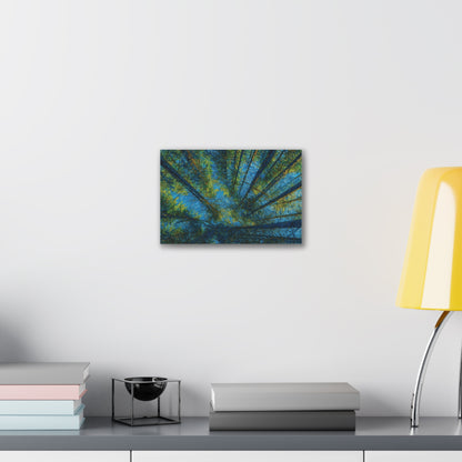 Forest Canopy Canvas Print — Upward View Trees Wall Art (Stretched Canvas 0.75")