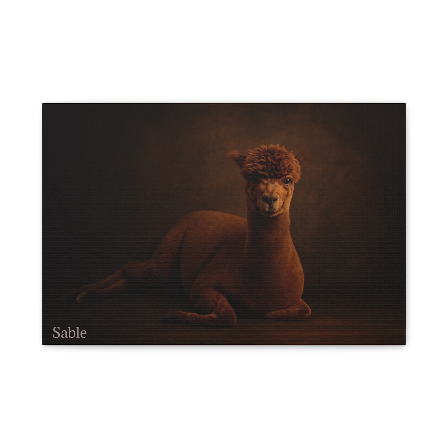 Alpaca portrait on matte canvas print by Printify showcasing a detailed alpaca face with soft fur and gentle expression.