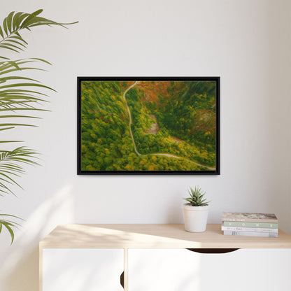 Colorful framed matte canvas wall art featuring a forest path aerial landscape, perfect for nature-inspired home decor.