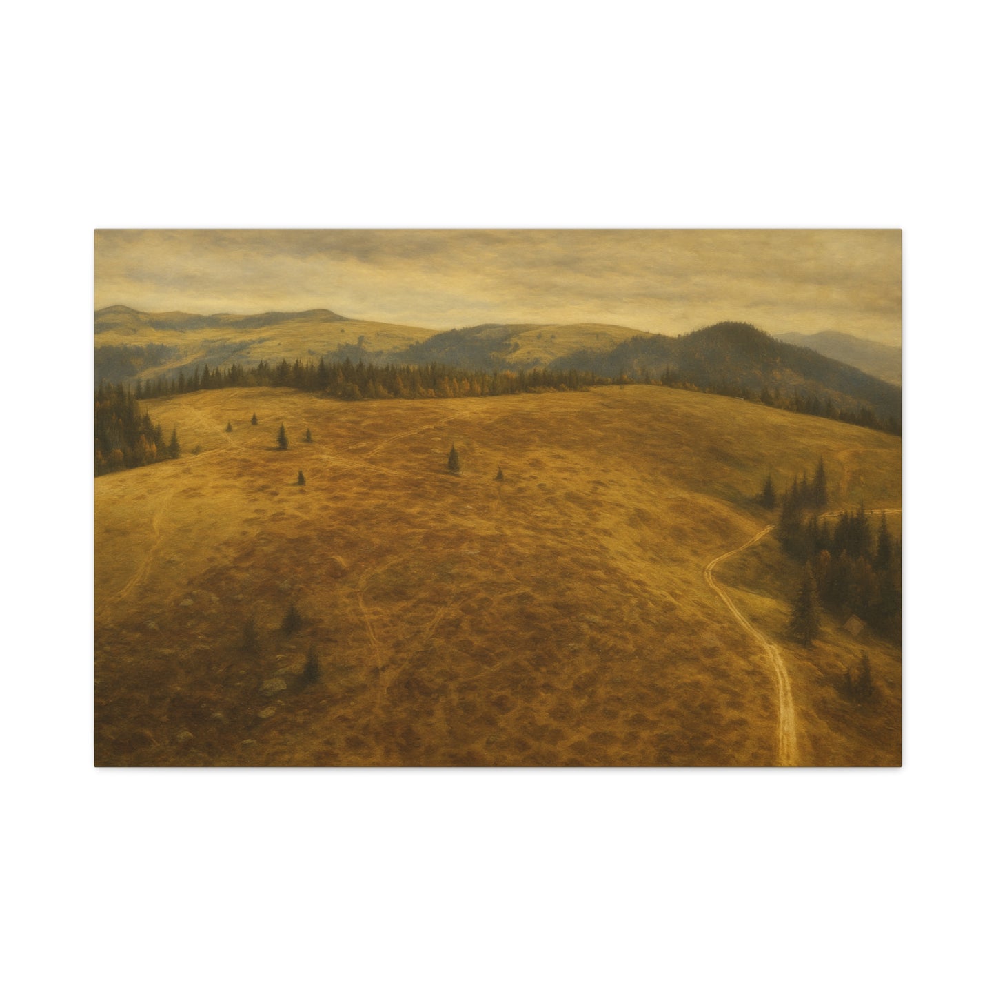 Stretched Canvas Art Print, Landscape Wall Decor, Nature Photography, Rustic Home Decor, Gifting, Earthy Art - TRV