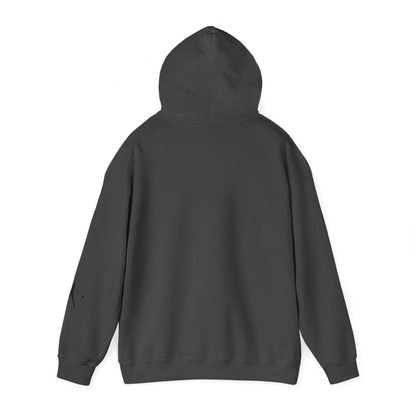 Baseball Themed Unisex Hoodie, Streetwear, Sports Fan Sweatshirt, Gift for Athletes, Casual Wear, Fall Fashion - TRV