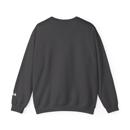 Printify USA crewneck sweatshirt featuring patriotic design, cozy fit, perfect for all seasons and casual wear.