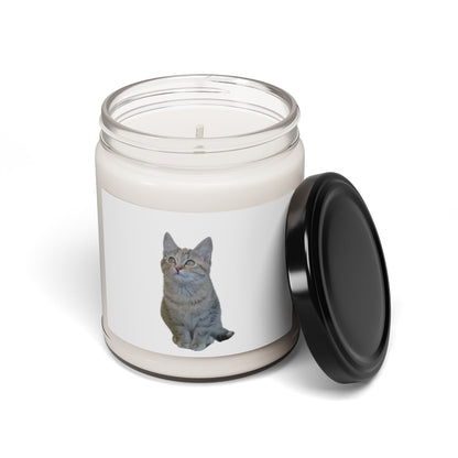 Cat-Themed Scented Soy Candle - 9oz - Perfect for Cat Lovers - TRV