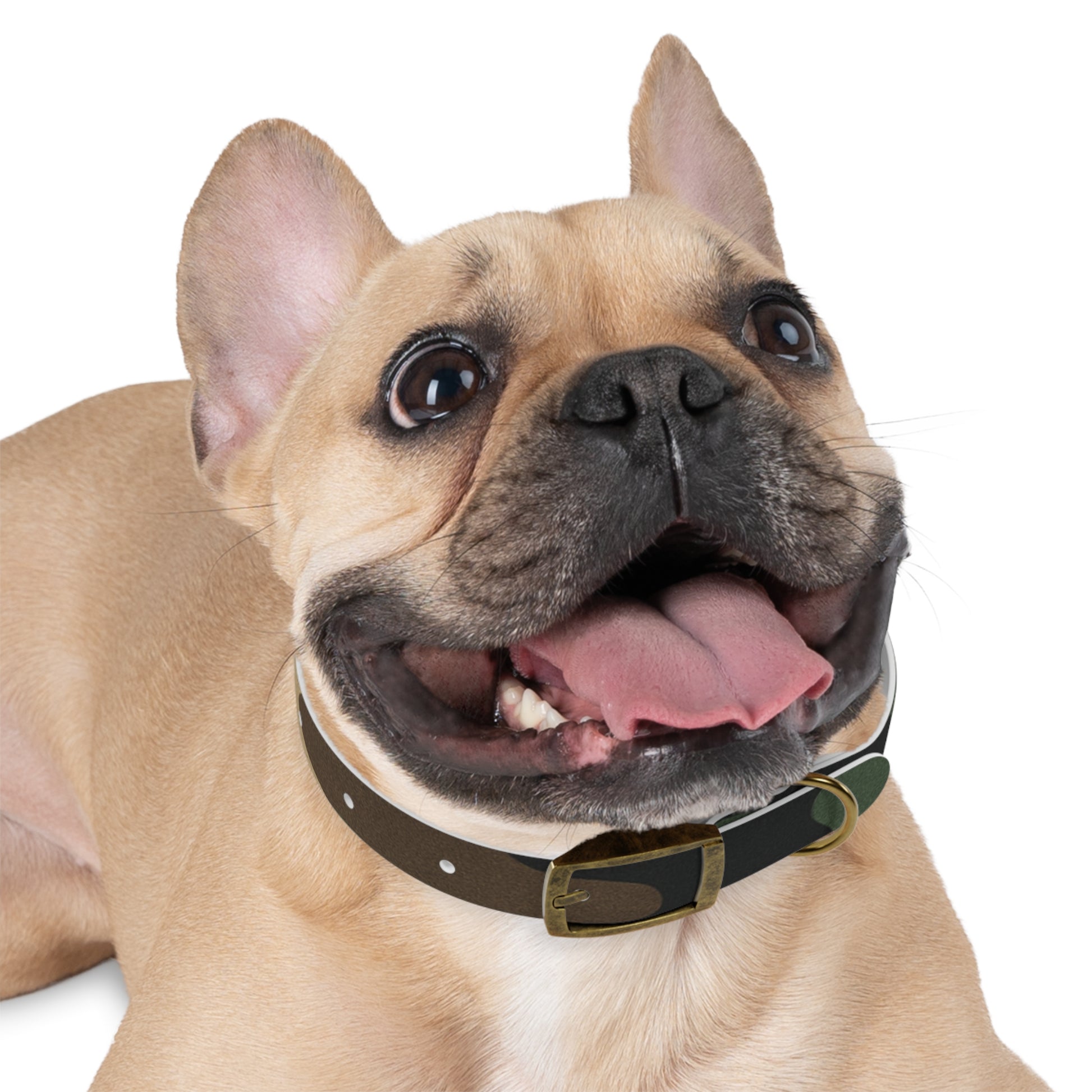 Stylish Camouflage Dog Collar - Personalized Pet Gift, Durable Adjustable Leash, Unique Dog Accessory, Pet Fashion - TRV