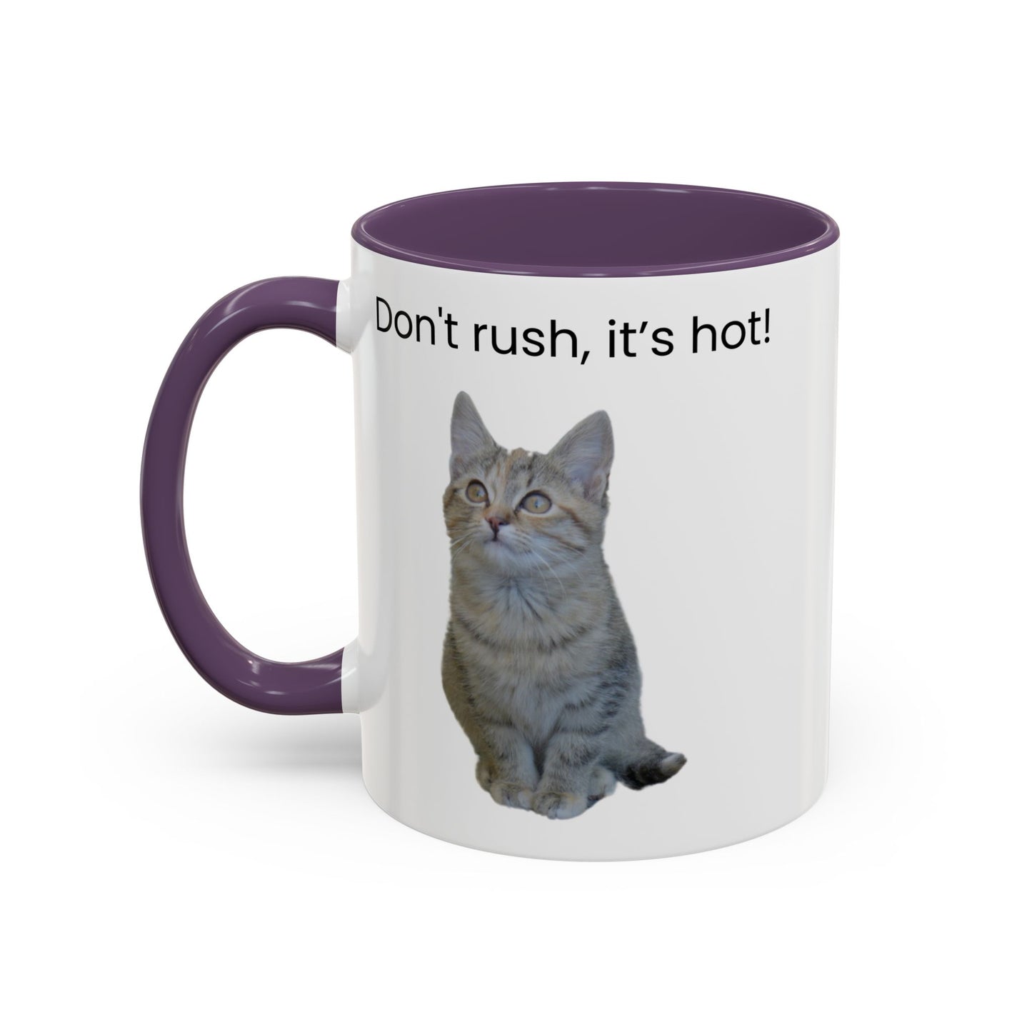 Cat Coffee Mug - "Don't rush, it's hot!" Accent Ceramic Mug (11/15 oz)