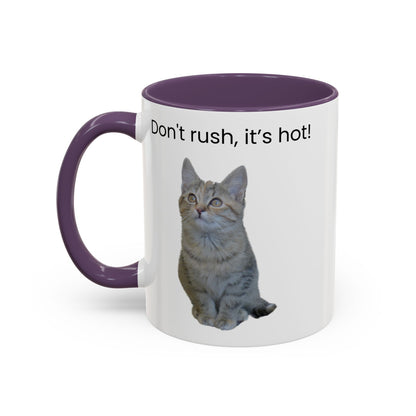Cat Coffee Mug - "Don't rush, it's hot!" Accent Ceramic Mug (11/15 oz)