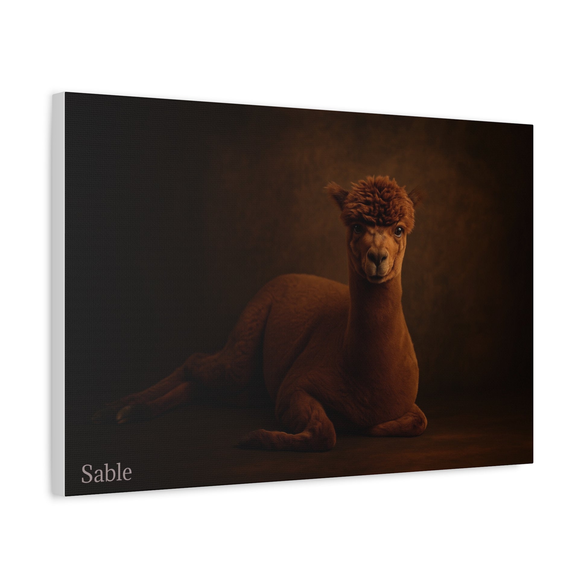 Alpaca portrait printed on matte canvas by Printify, featuring a detailed, realistic alpaca illustration on high-quality canvas.