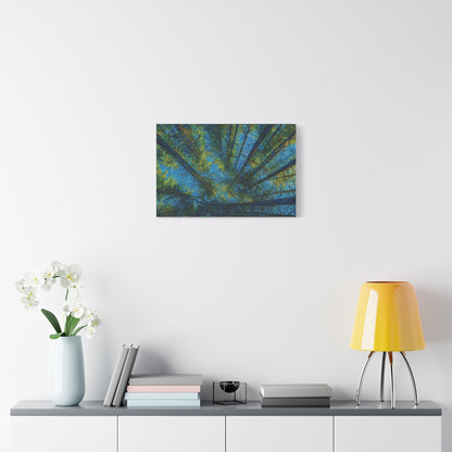 Forest Canopy Matte Canvas Wall Art — Upward View of Trees, Blue & Green Nature Print