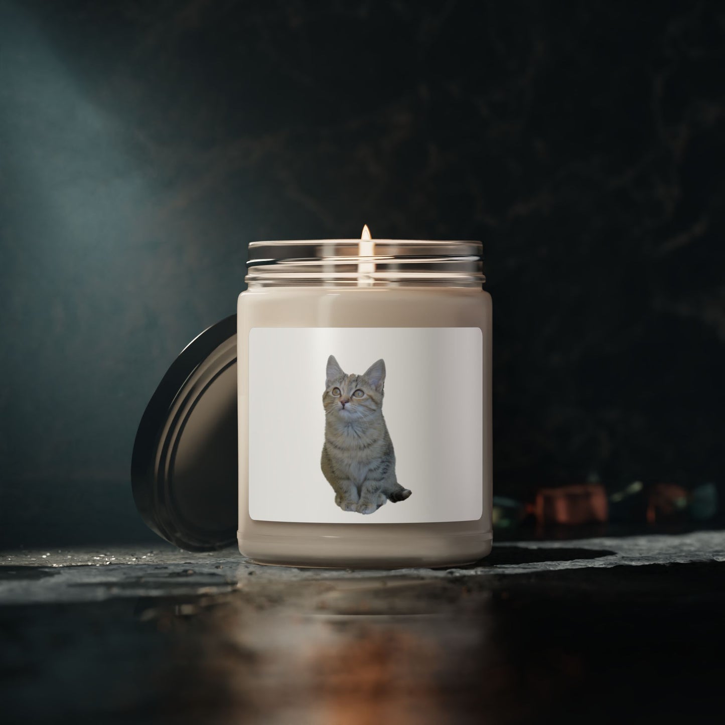 Cat-Themed Scented Soy Candle - 9oz - Perfect for Cat Lovers - TRV