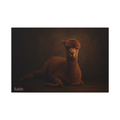 Alpaca portrait printed on matte canvas, featuring realistic alpaca image with soft tones, ideal for home decor.
