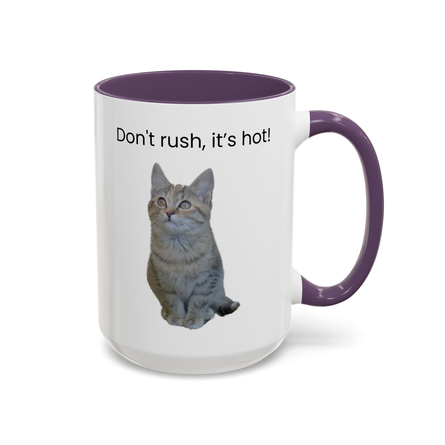 Cat Coffee Mug - "Don't rush, it's hot!" Accent Ceramic Mug (11/15 oz)